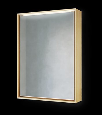 Зеркальный шкаф Raval Frame 60 с подсветкой Fra.03.60/W-DS (Fra.03.60/W-DS) Fra.03.60/W-DS - фото 284627