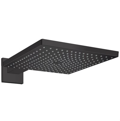 Верхний душ Hansgrohe Raindance 26238670 Черный матовый 26238670 - фото 389812