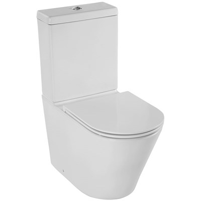Унитаз Jacob Delafon Rodin+ UJAB102-00 без бачка и сиденья UJAB102-00 - фото 452960