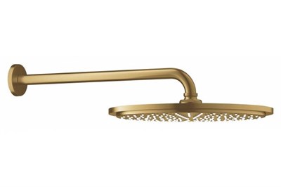 Верхний душ с кронштейном GROHE Rainshower 26066GN0 холодный рассвет, матовый gr_26066GN0 - фото 487934