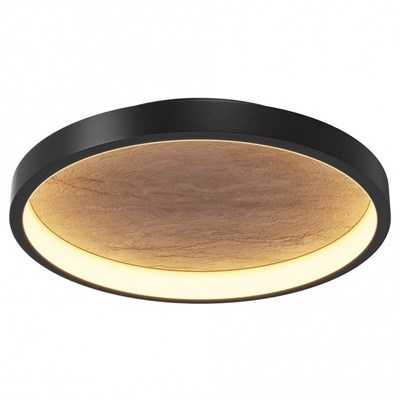 Накладной светильник Maytoni Orign MOD311CL-L27B3K my_mod311cl-l27b3k