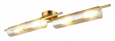 Накладной светильник Aployt Lusia APL.315.07.04 AP_APL.315.07.04