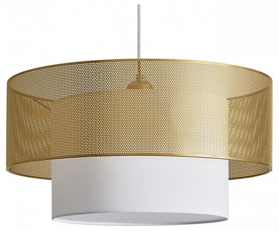 199 MY_FR5528PL-01BS