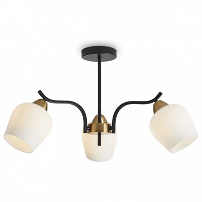 297 MY_FR5422PL-03BZ