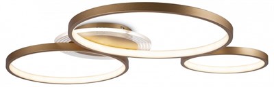 305 MY_FR10014CL-L87G