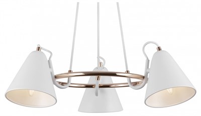 319 MY_FR8001PL-03WG