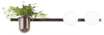 Бра Odeon Light Flower 4681/2W OD_4681_2W