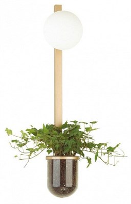 Бра Odeon Light Flower 4682/1WB OD_4682_1WB