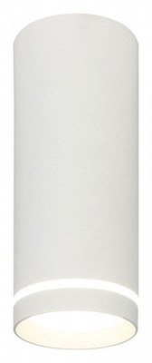 Накладной светильник Escada 20009 20009SMU/02LED SWH ESC_20009SMU_02LED_SWH