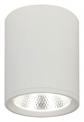 Накладной светильник Escada 20003 20003SMU/02LED SWH ESC_20003SMU_02LED_SWH