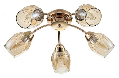 Потолочная люстра Escada Allium 663/5P esc_663_5p