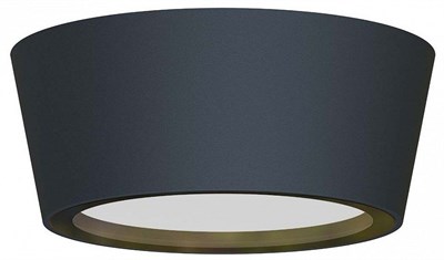 Накладной светильник Favourite Fantum 4675-1U FV_4675-1U