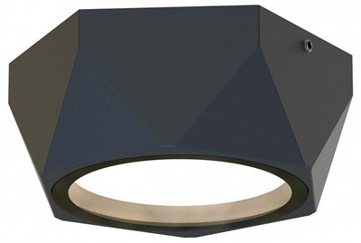 Накладной светильник Favourite Fantum 4670-1U FV_4670-1U