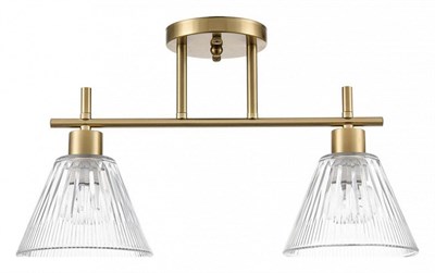 Светильник на штанге Lumion Vivian 8188/2C lmn_8188_2c