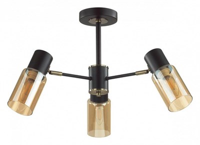 Люстра на штанге Lumion Ronnie 5644/3C LMN_5644_3C