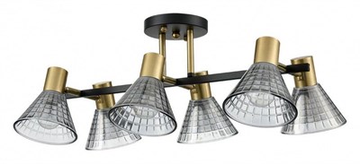 Люстра на штанге Lumion Anriya 8044/6C lmn_8044_6c