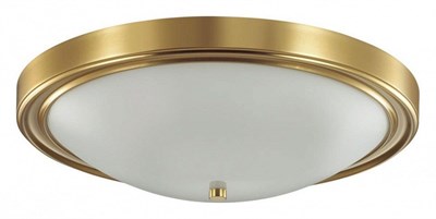 Накладной светильник Lumion Nina 5259/4C lmn_5259_4c