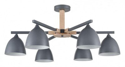 Люстра на штанге Lumion Colange 8096/6C lmn_8096_6c