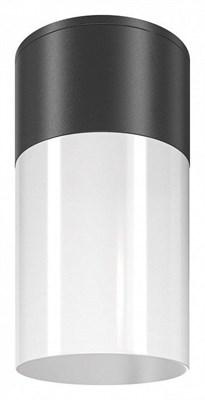 Накладной светильник Maytoni Willis O418CL-01B MY_O418CL-01B