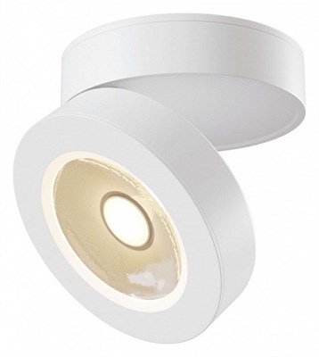 Накладной светильник Maytoni Magic C022CL-L7W my_c022cl-l7w