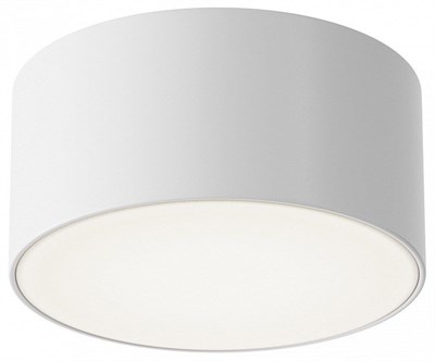 Накладной светильник Maytoni Zon IP O430CL-L15W4K my_o430cl-l15w4k