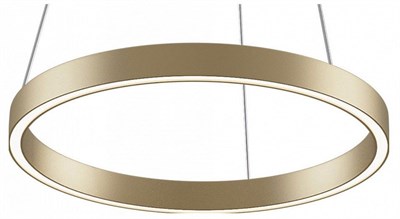 Подвесной светильник Maytoni Rim MOD058PL-L22BSK MY_MOD058PL-L22BSK