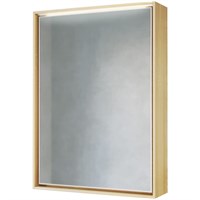 Зеркальный шкаф Raval Frame 60 с подсветкой Fra.03.60/DT (Fra.03.60/DT)