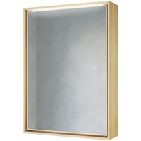 Зеркальный шкаф Raval Frame 60 с подсветкой Fra.03.60/DT (Fra.03.60/DT) Fra.03.60/DT