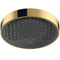 Верхний душ Hansgrohe Rainfinity 26229990 Золото 26229990