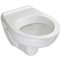 Унитаз Jacob Delafon Brive E4345G-00 подвесной без сиденья E4345G-00