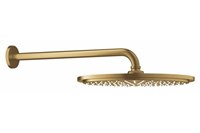 Верхний душ с кронштейном GROHE Rainshower 26066GN0 холодный рассвет, матовый gr_26066GN0