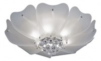 Накладной светильник Lightstar Lobo 804020 804020