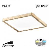Накладной светильник Citilux Бейсик CL738K242V CL738K242V