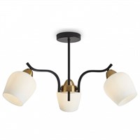 297 MY_FR5422PL-03BZ