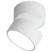 Спот Omnilux Lenno OML-101309-18 OM_OML-101309-18