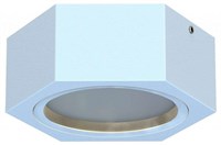 Накладной светильник Favourite Fantum 4665-1U FV_4665-1U