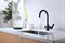 Смеситель Lemark Ursus LM7261BL для кухонной мойки под фильтр, цвет черный LM7261BL