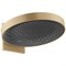 Верхний душ Hansgrohe Rainfinity 26230140 Бронза Черный 26230140 - фото 389733