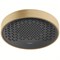 Верхний душ Hansgrohe Rainfinity 26231140 Бронза 26231140 - фото 389752