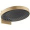 Верхний душ Hansgrohe Rainfinity 26234140 Бронза 26234140 - фото 389781