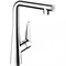Смеситель для кухни Hansgrohe Talis Select S 72820000 Хром 72820000 - фото 393913