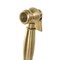 Гигиенический душ Cezares ATLANTIS-U-IFS-03/24 Золото 24 карат ATLANTIS-U-IFS-03/24