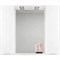 Зеркало со шкафом BelBagno MARINO-SPC-1000/750-2A-BL-P 100 с подсветкой Bianco Lucido MARINO-SPC-1000/750-2A-BL-P - фото 472007