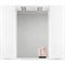 Зеркало со шкафом BelBagno MARINO-SPC-1200/750-2A-BL-P 120 с подсветкой Bianco Lucido MARINO-SPC-1200/750-2A-BL-P - фото 472777
