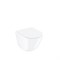 Унитаз подвесной безободковый, Blanco Q, IDDIS, BLQRDSEI25 BLQRDSEI25 - фото 538202