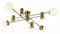 Потолочная люстра EVOLUCE Raito SLE1105-302-08 EVO_SLE1105-302-08 - фото 733813