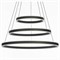 Подвесной светильник Citilux Дуэт CL719681 cl719681 - фото 864878