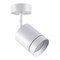 Спот Novotech Arum 358259 NV_358259