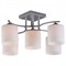 Люстра на штанге Omnilux Pisticci OML-55307-05 OM_OML-55307-05