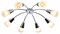 Потолочная люстра Escada Aquilegia 1100/8P Chrome esc_1100_8p_chrome